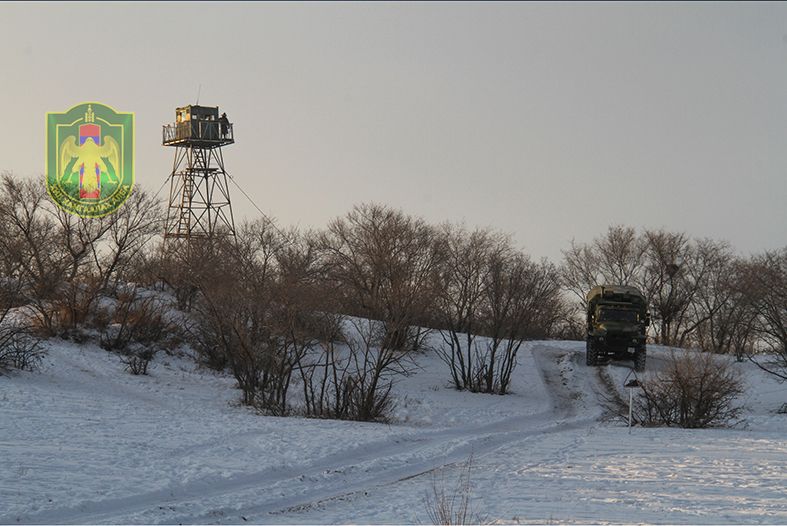 Улсын хилийн зурвас газарт “ЗИЛ-131” машинтай хүмүүс хуш модны самар бэлтгэж байжээ