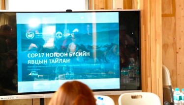 COP17 хурлын бэлтгэлийг эрчимжүүлж байна